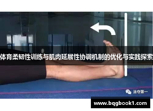 体育柔韧性训练与肌肉延展性协调机制的优化与实践探索